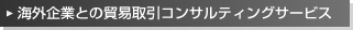 ȤȤǰ׼󥵥ƥ󥰥ӥ